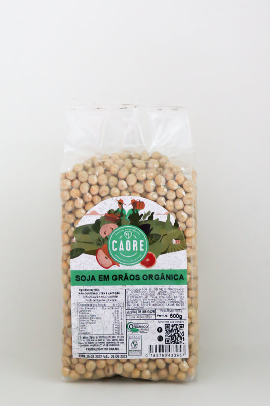 Soja em Grãos Orgânica 500g