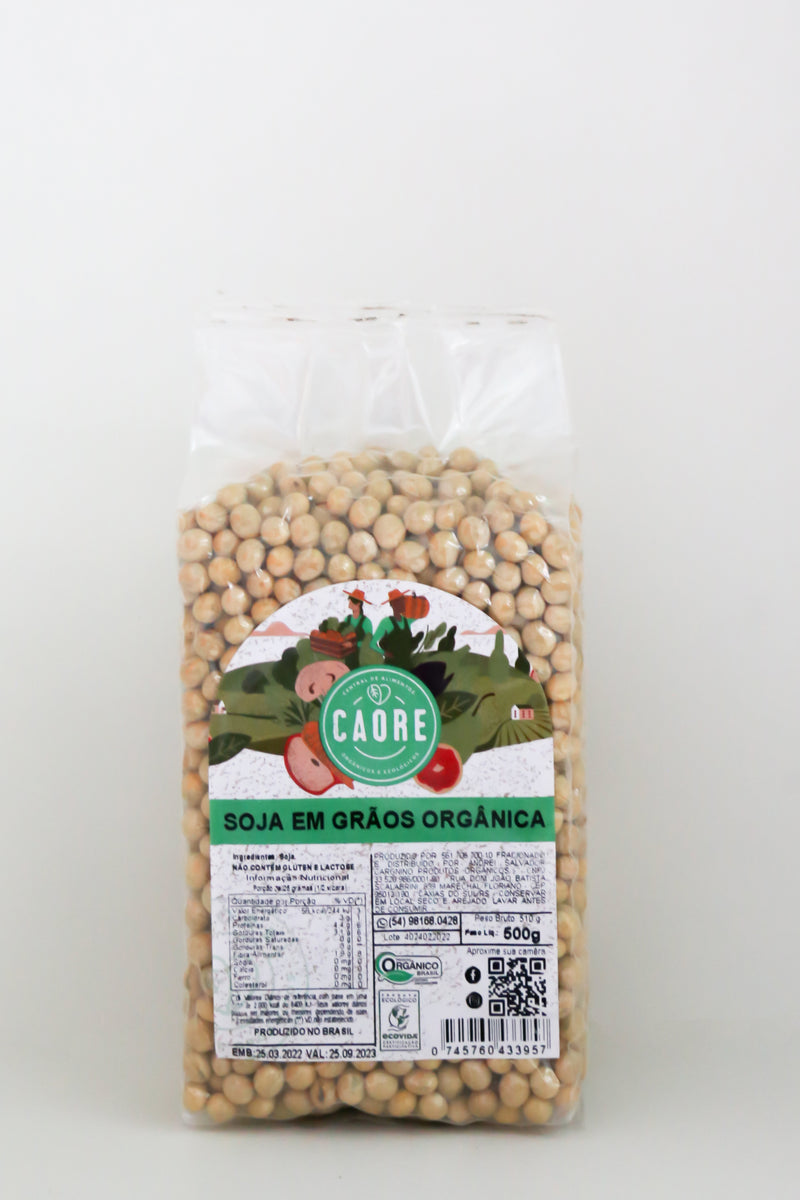 Soja em Grãos Orgânica 500g